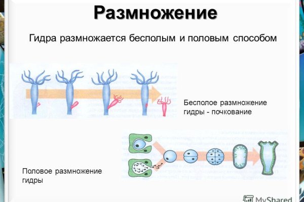 Кракен сайт сегодня